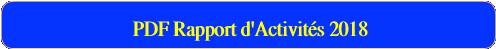   PDF Rapport d'Activités 2018